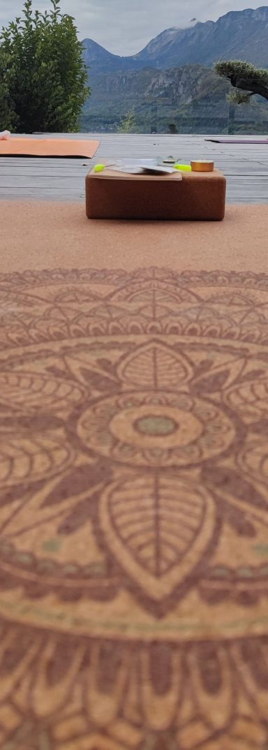 Claire Delafay ostéopathe propose des ateliers mieux-être à Saint-Jean-de-Bournay Claire Delafay ostéopathe à Saint-Jean-de-Bournay, soin énergétique, bien-être